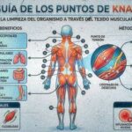 Terapia de Masaje Knap